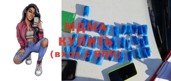 индика Богородск