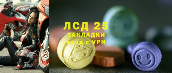 индика Богородск