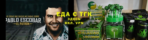 индика Богородск