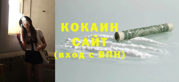 индика Богородск