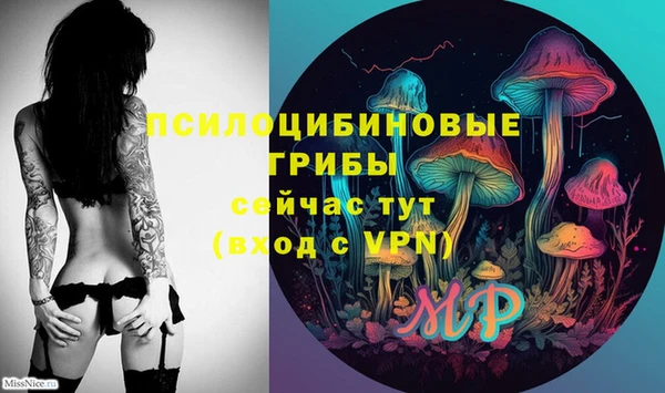 индика Богородск