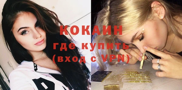 индика Богородск