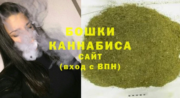 индика Богородск