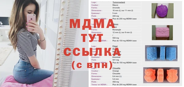 индика Богородск