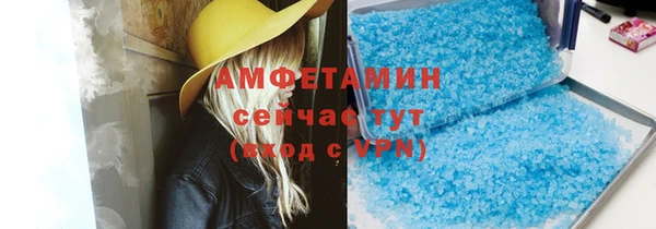 индика Богородск