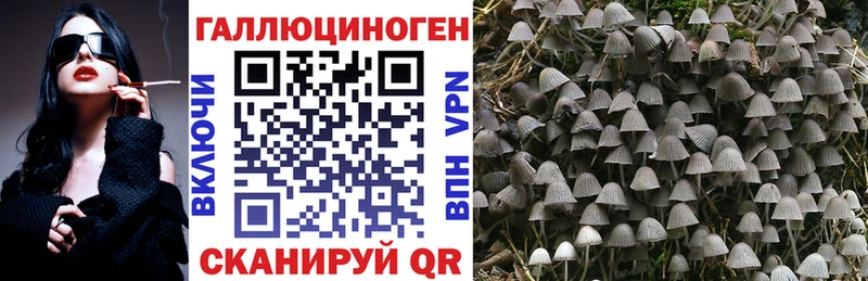 Галлюциногенные грибы Magic Shrooms где можно купить наркотик hydra ССЫЛКА Козловка